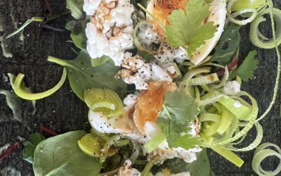 Vegetarisk Suchi nori